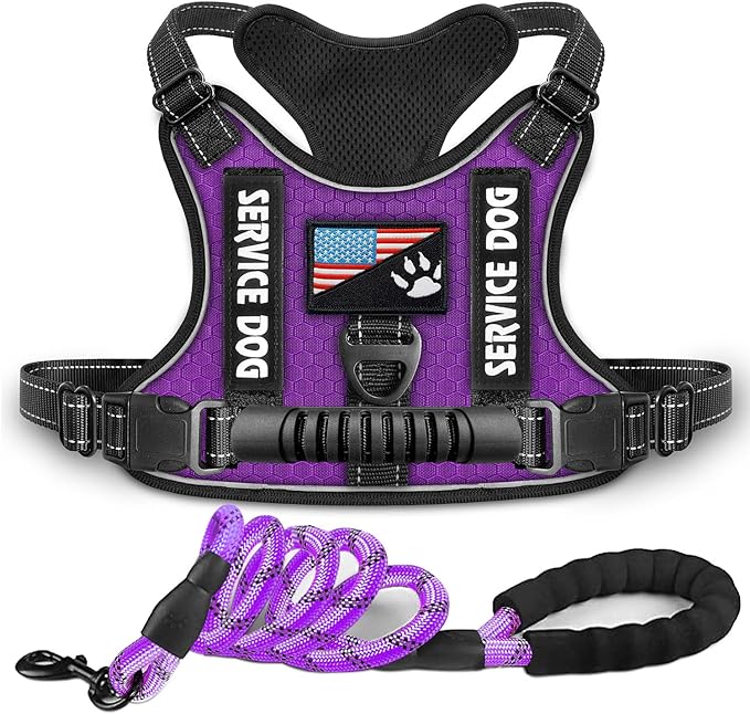 HappyPaws® Best no pull dog harness  - purple