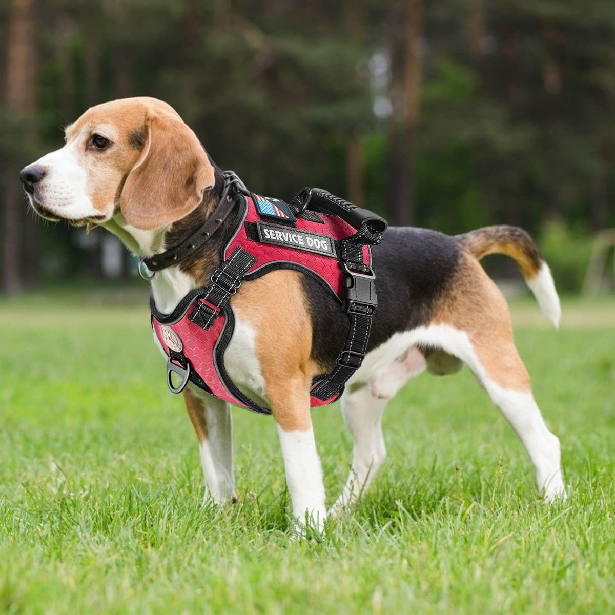 HappyPaws® Best no pull dog harness  - red