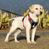 Load image into Gallery viewer, PawsGuard® Top Rated No Pull Dog Harness with Back Handle, Dog Anti Pull Harness with Front &amp; Back D-Rings