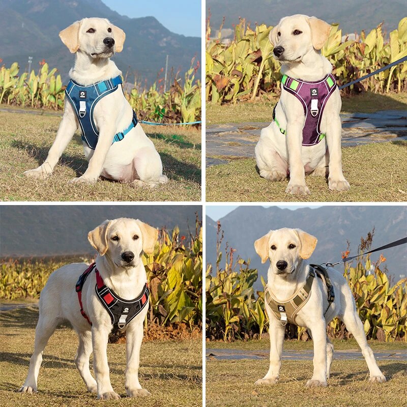 PawsGuard® Top Rated No Pull Dog Harness with Back Handle, Dog Anti Pull Harness with Front & Back D-Rings